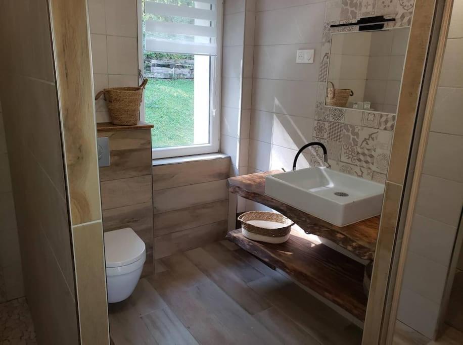 萨尔格米纳Le Bord De Sarre Meuble 3 Etoiles公寓 外观 照片