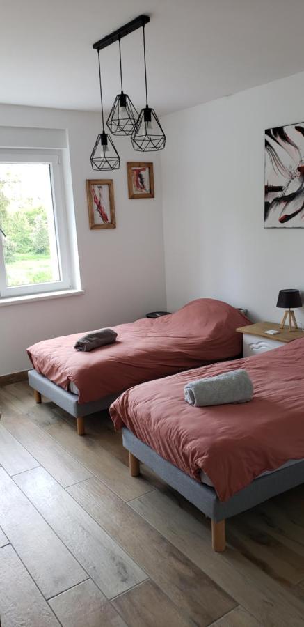 萨尔格米纳Le Bord De Sarre Meuble 3 Etoiles公寓 外观 照片